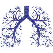 (c) Lungcancerregistry.org